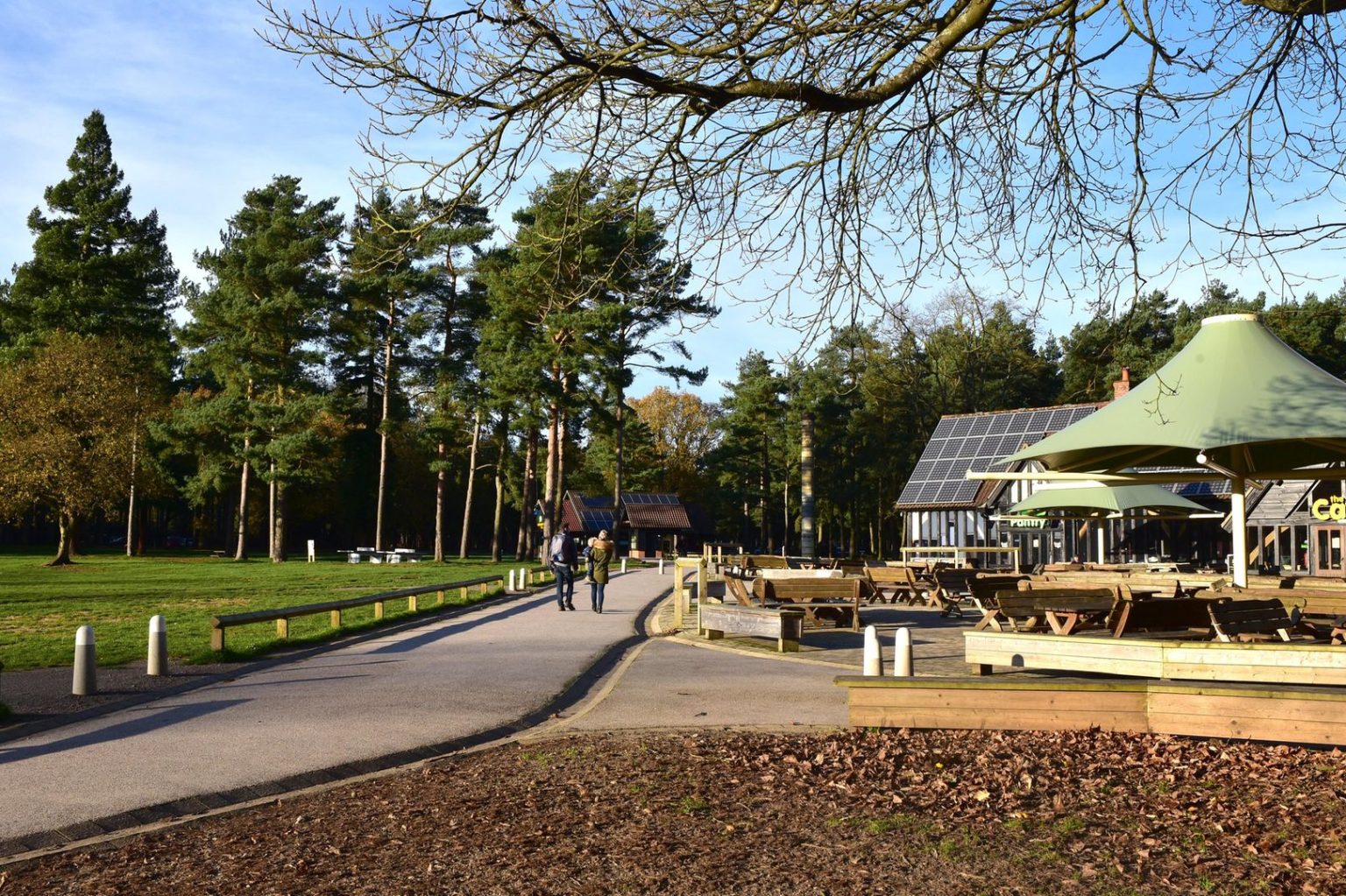 Thetford Forest Park